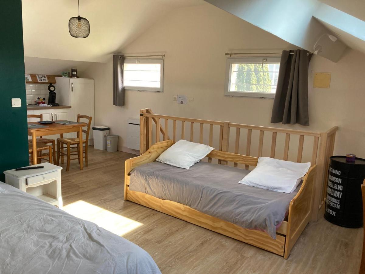 Studio Proche Orleans Centre Saint-Jean-le-Blanc Zewnętrze zdjęcie