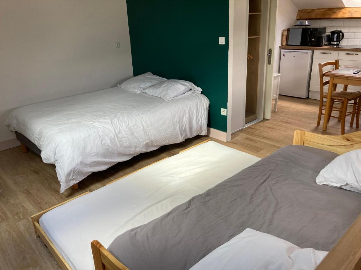 Studio Proche Orleans Centre Saint-Jean-le-Blanc Zewnętrze zdjęcie