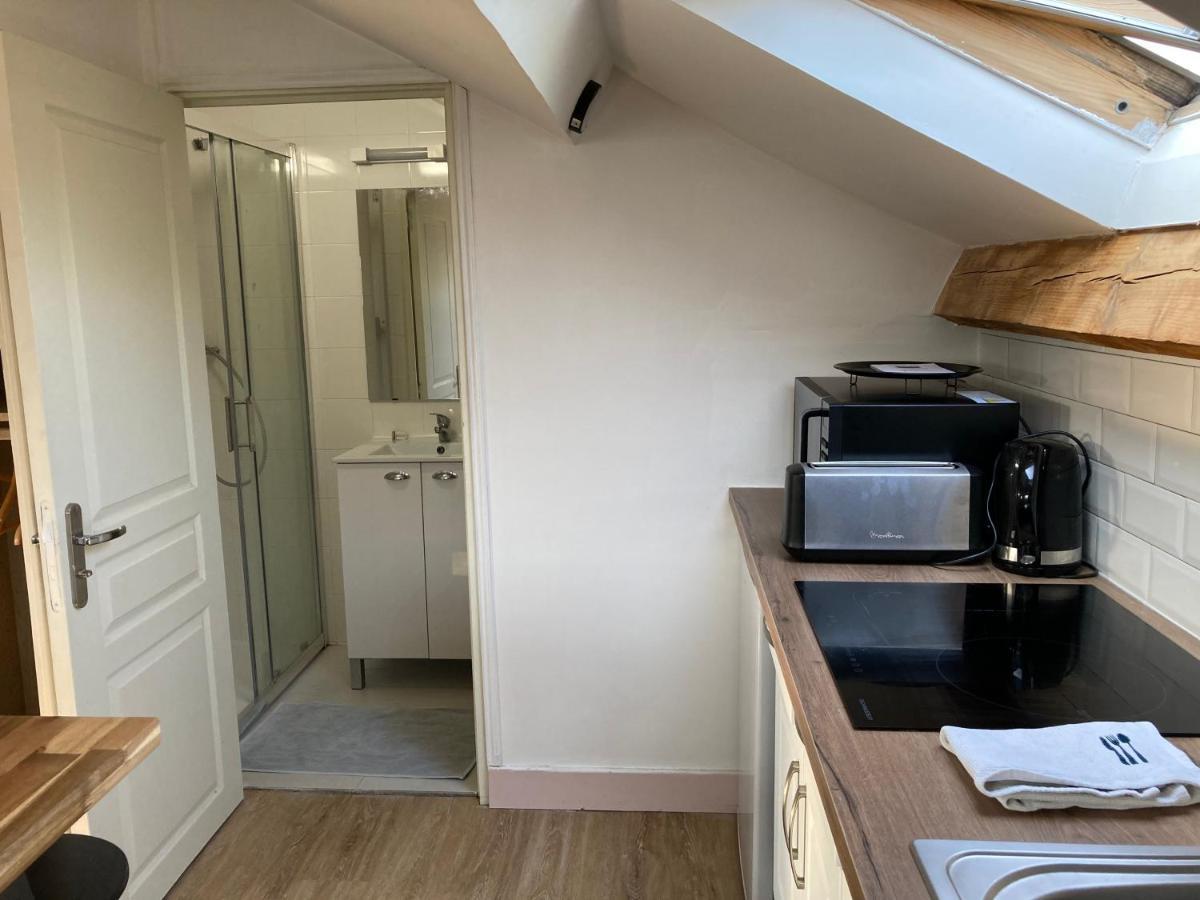 Studio Proche Orleans Centre Saint-Jean-le-Blanc Zewnętrze zdjęcie
